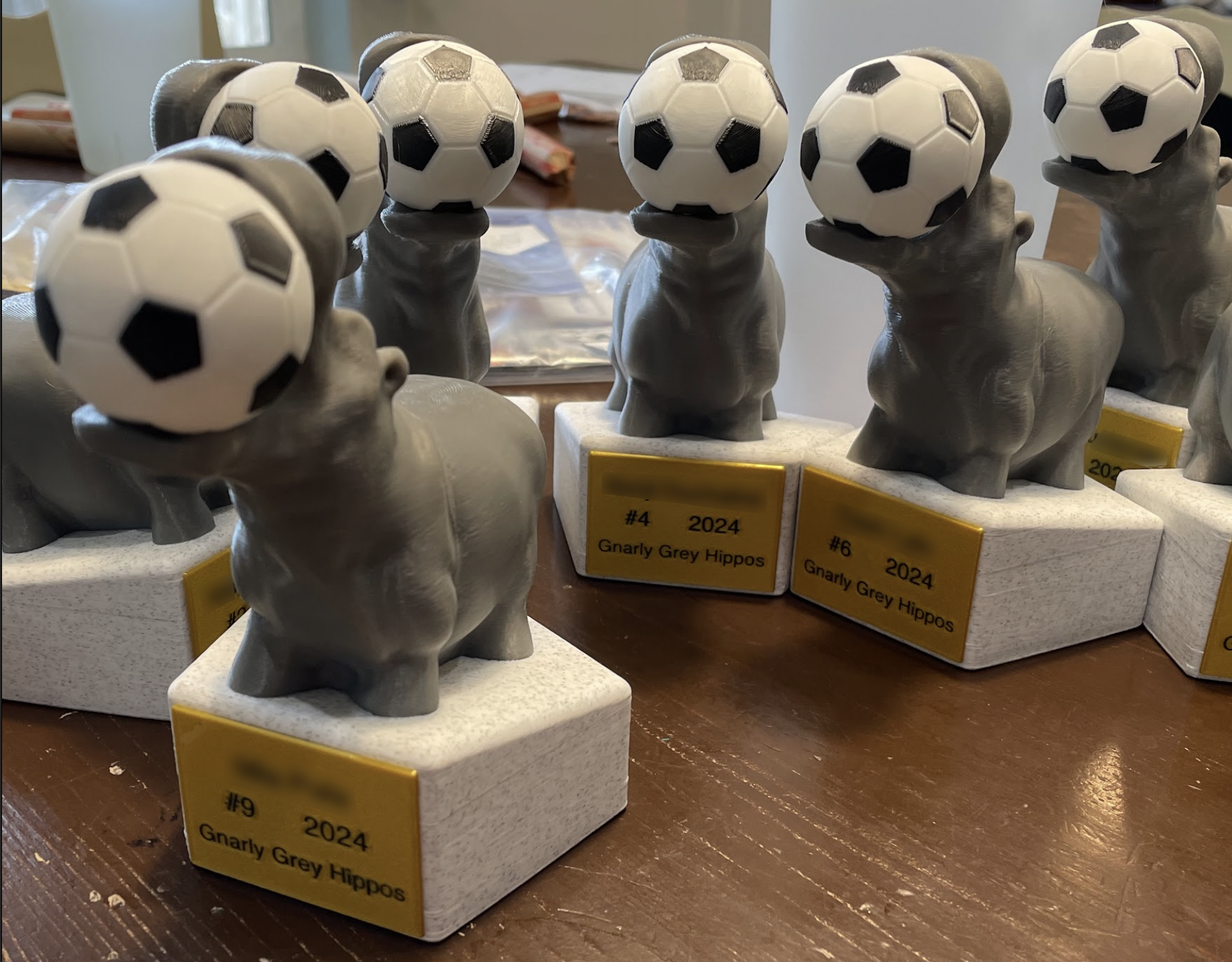 Hippo Trophies